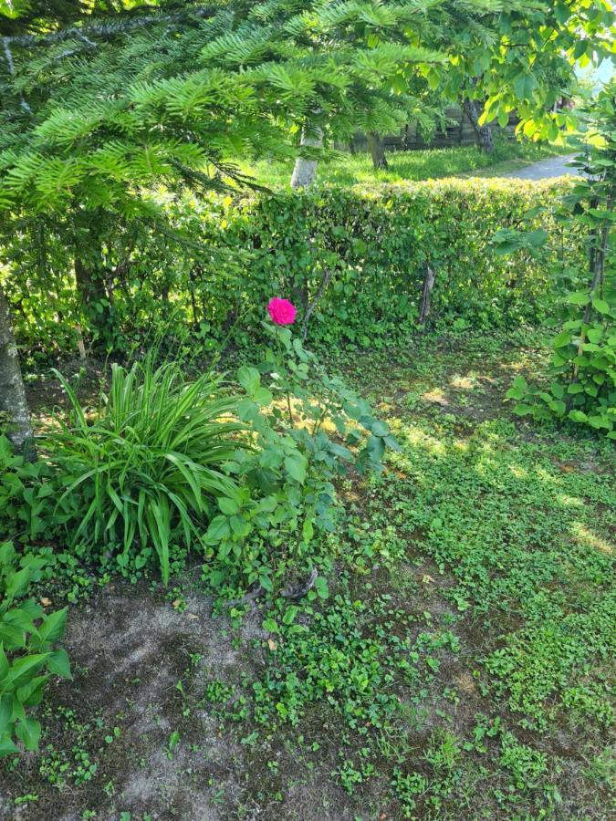 Holiday Home Hizica V Plavem Trnacu Gornja Stubica Zewnętrze zdjęcie