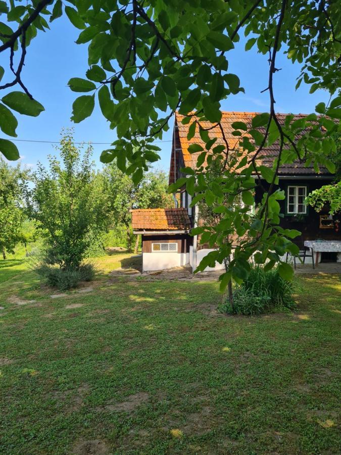 Holiday Home Hizica V Plavem Trnacu Gornja Stubica Zewnętrze zdjęcie