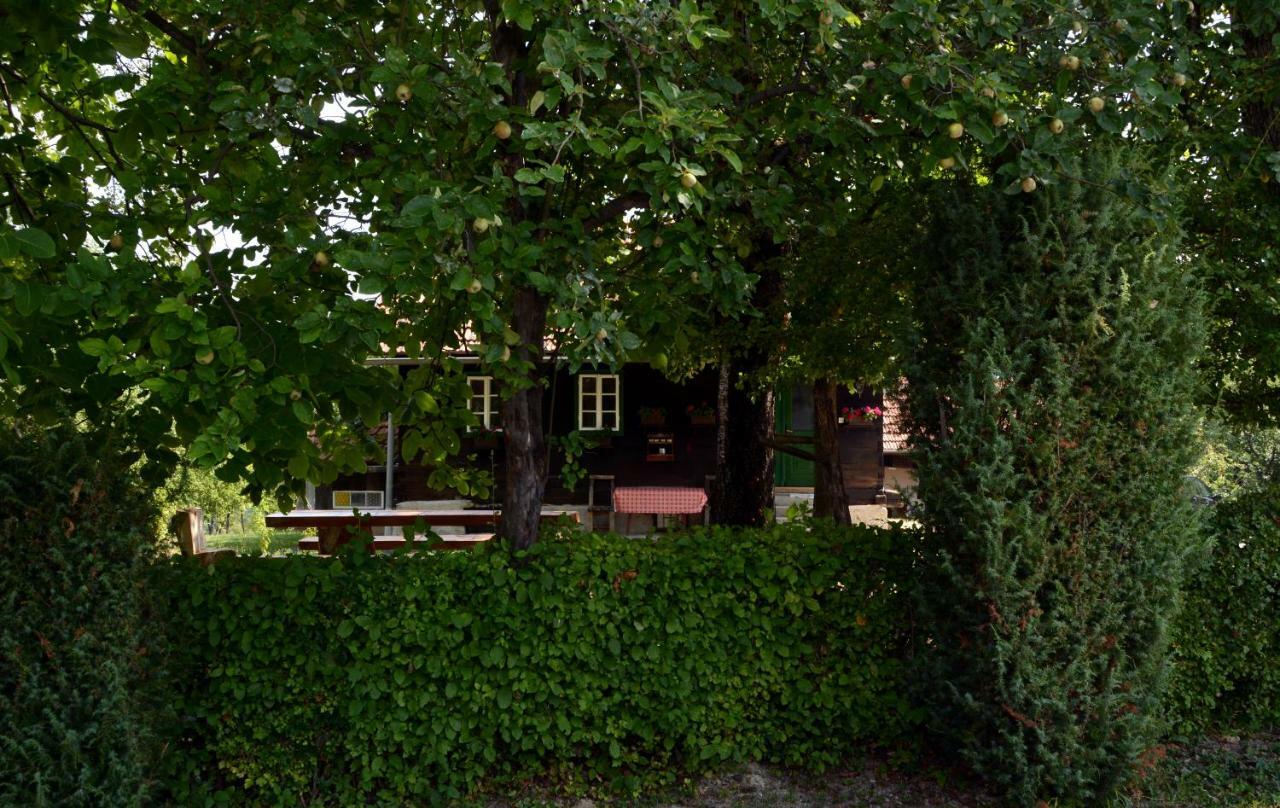 Holiday Home Hizica V Plavem Trnacu Gornja Stubica Zewnętrze zdjęcie