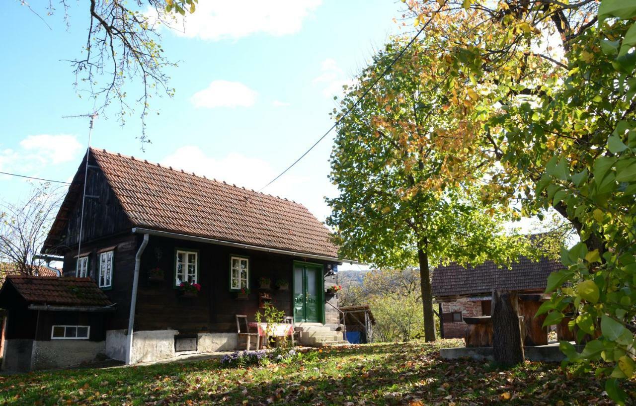 Holiday Home Hizica V Plavem Trnacu Gornja Stubica Zewnętrze zdjęcie