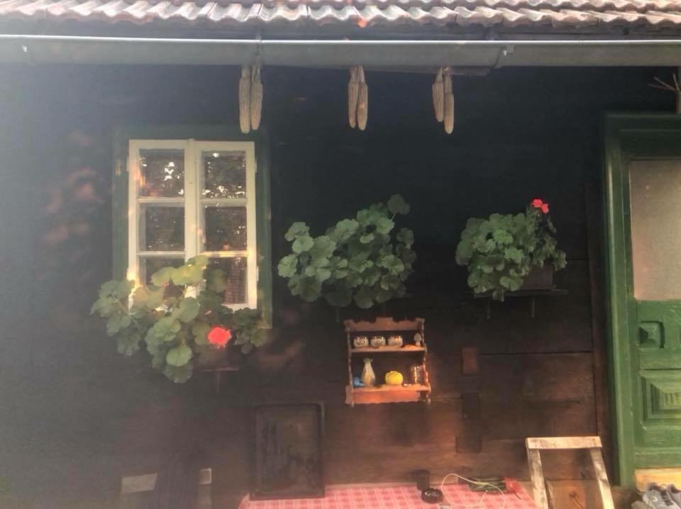 Holiday Home Hizica V Plavem Trnacu Gornja Stubica Zewnętrze zdjęcie